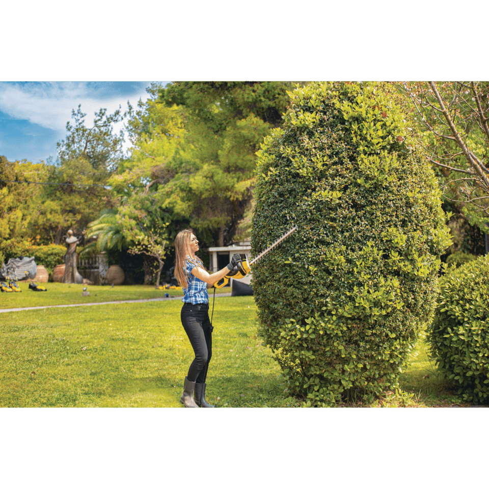 Tagliasiepi EHT 61/750 Pro 750W