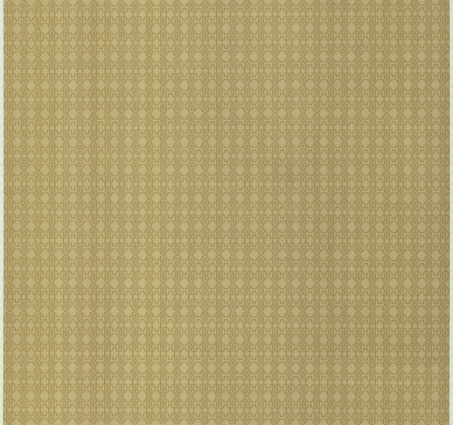 CARTA DA PARATI ROBERTO CAVALLI Cod. RC17116