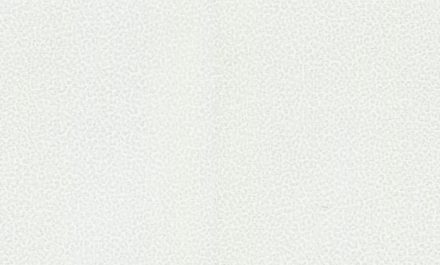 Carta da parati Roberto Cavalli collezione N.8 - RC19020 - rotolo 10 mq