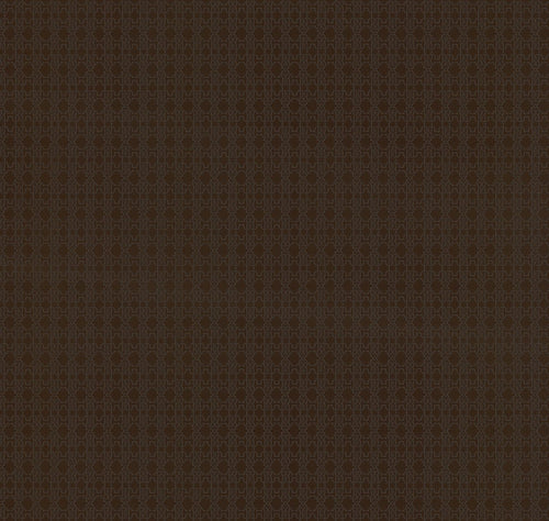 CARTA DA PARATI ROBERTO CAVALLI Cod. RC17115