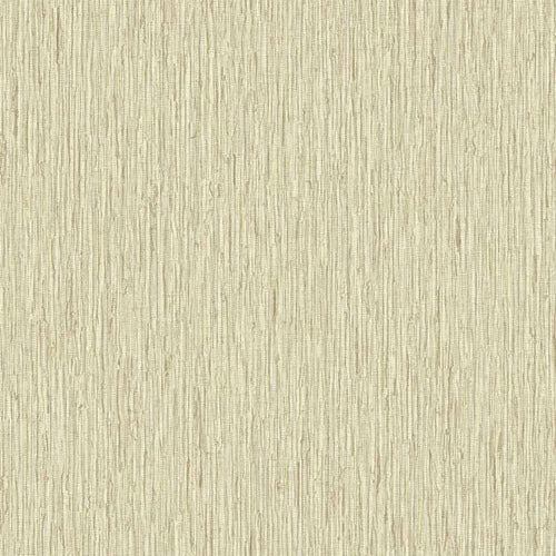 Carta da parati AdaWall collezione BETA cod 1101 - rotolo 10mq - Beige
