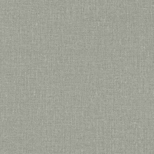 Carta da parati AdaWall collezione BETA cod 1112 - rotolo 10mq - Grigio 7