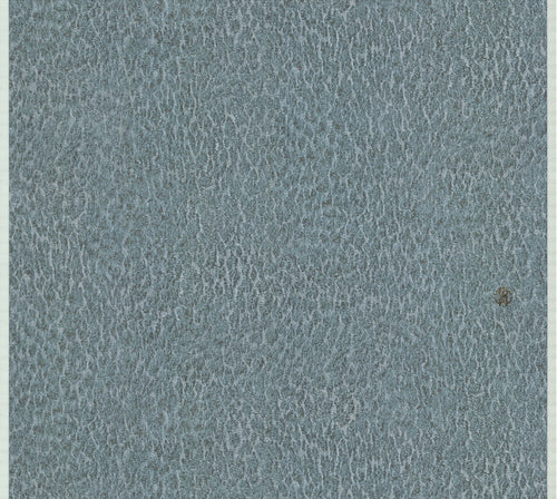 CARTA DA PARATI ROBERTO CAVALLI Cod. RC17087