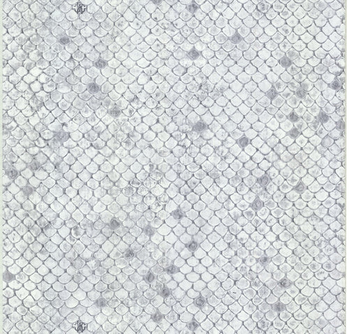 CARTA DA PARATI ROBERTO CAVALLI Cod. RC17103