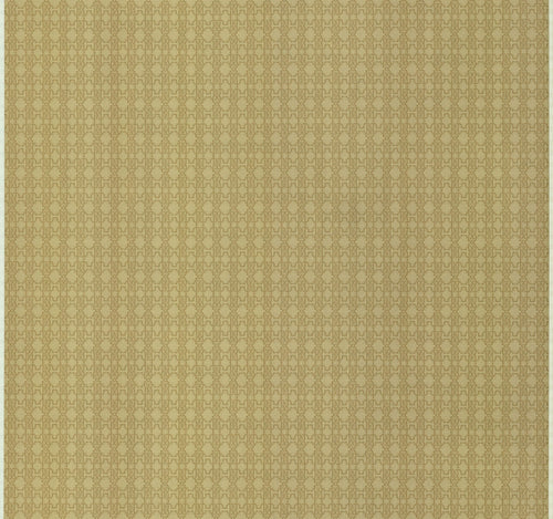 CARTA DA PARATI ROBERTO CAVALLI Cod.  RC17116