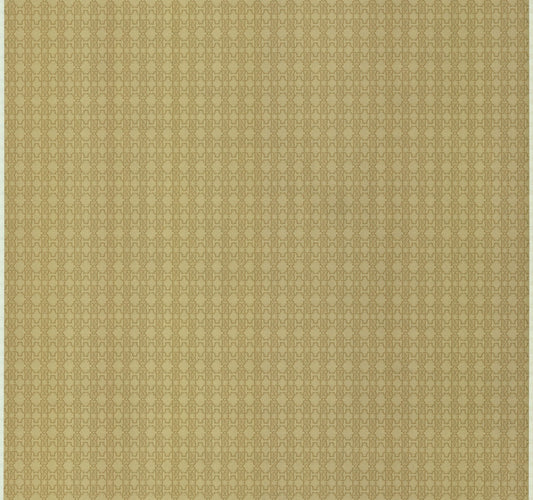 CARTA DA PARATI ROBERTO CAVALLI Cod.  RC17116