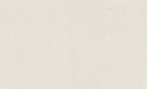 Carta da parati Roberto Cavalli collezione N.8 - RC19016 - rotolo 10 mq