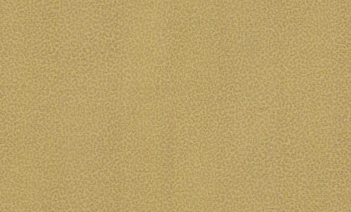 Carta da parati Roberto Cavalli collezione N.8 - RC19017 - rotolo 10 mq