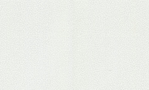 Carta da parati Roberto Cavalli collezione N.8 - RC19020 - rotolo 10 mq