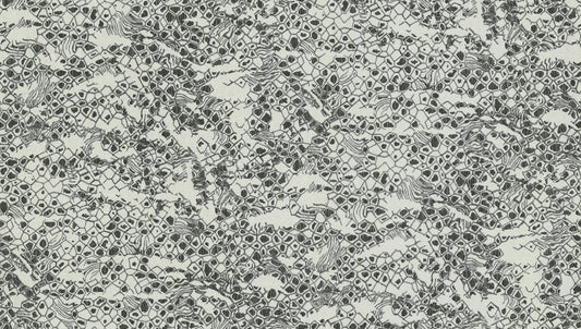 Carta da parati Roberto Cavalli collezione N.8 - RC19035 - rotolo 10 mq