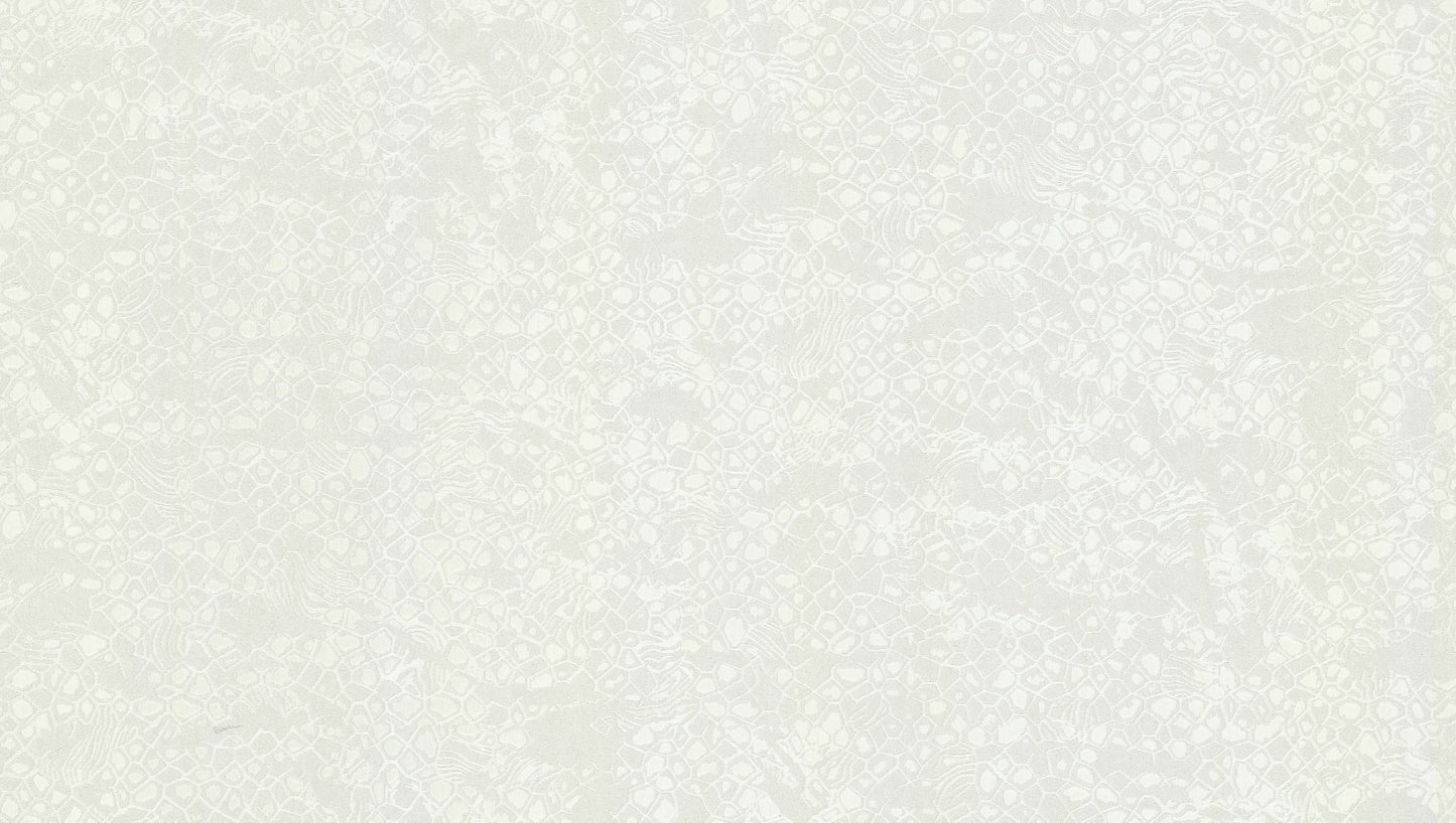 Carta da parati Roberto Cavalli collezione N.8 - RC19039 - rotolo 10 mq