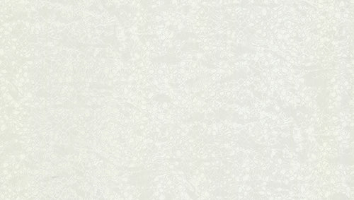 Carta da parati Roberto Cavalli collezione N.8 - RC19039 - rotolo 10 mq