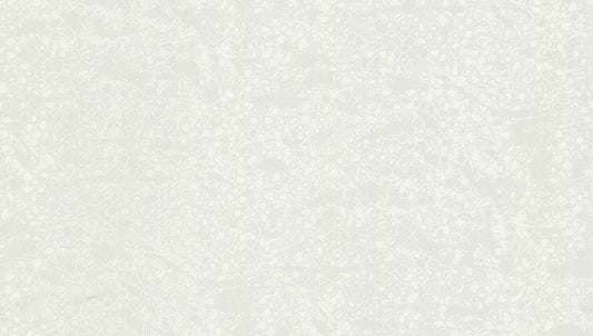 Carta da parati Roberto Cavalli collezione N.8 - RC19039 - rotolo 10 mq