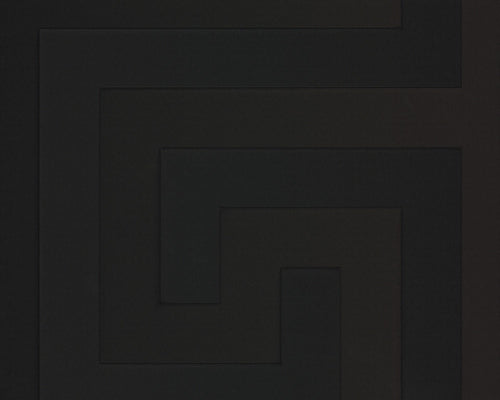 Carta da parati Versace collezione 5 Codice 93523-4 rotolo 7mq