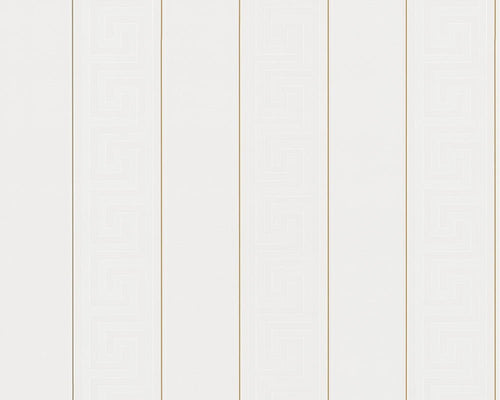 Carta da parati Versace collezione 5 Codice 93524-1 rotolo 7mq