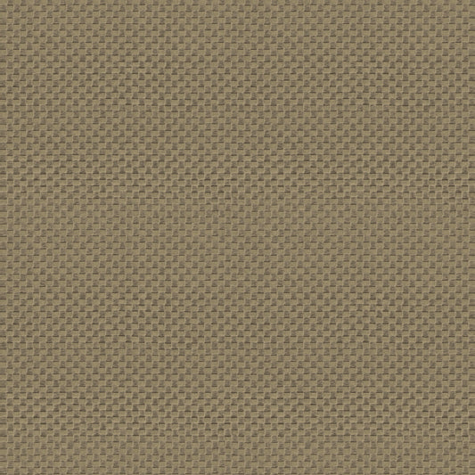 Carta da parati Armani Home collezione Refined Structure n.1 cod. 9241 rotolo 7mq