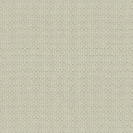 Carta da parati Armani Home collezione Refined Structure n.1 cod. 9242 rotolo 7mq