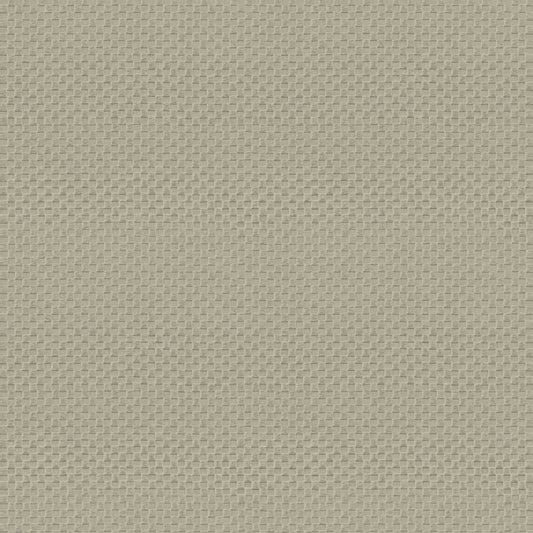 Carta da parati Armani Home collezione Refined Structure n.1 cod. 9244 rotolo 7mq