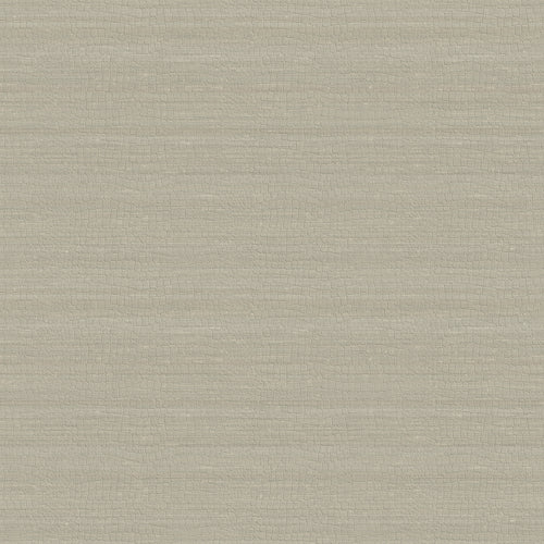 Carta da parati Armani Home collezione Refined Structure n.1 cod. 9251 rotolo 7mq