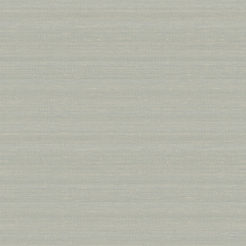 Carta da parati Armani Home collezione Refined Structure n.1 cod. 9252 rotolo 7mq