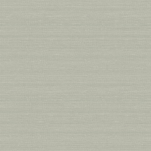 Carta da parati Armani Home collezione Refined Structure n.1 cod. 9255 rotolo 7mq