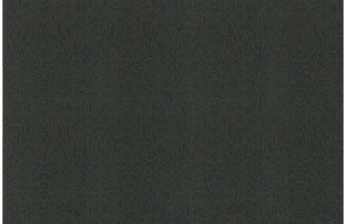 Carta da parati Roberto Cavalli collezione n.7 RC18062 - rotolo 10 mq