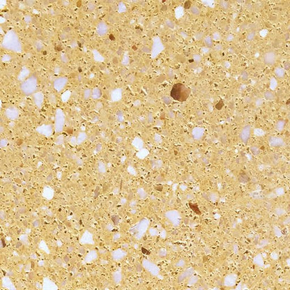 Coprimuro Unico Elite 1 metro